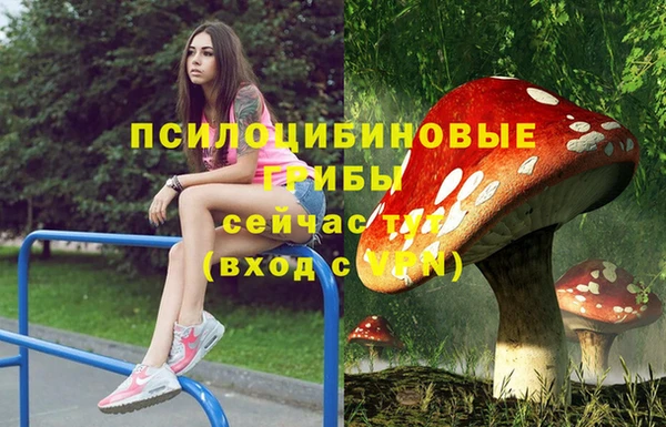 метадон Магадан