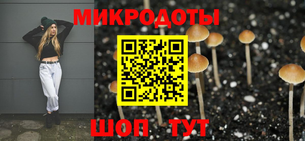 Галлюциногенные грибы Magic Shrooms  Псилоцибиновые грибы ЛСД  Вход с VPN  Янаул 