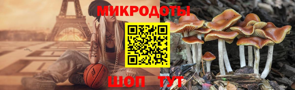 Псилоцибиновые грибы ЛСД Янаул